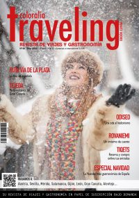 Traveling 2020 cover